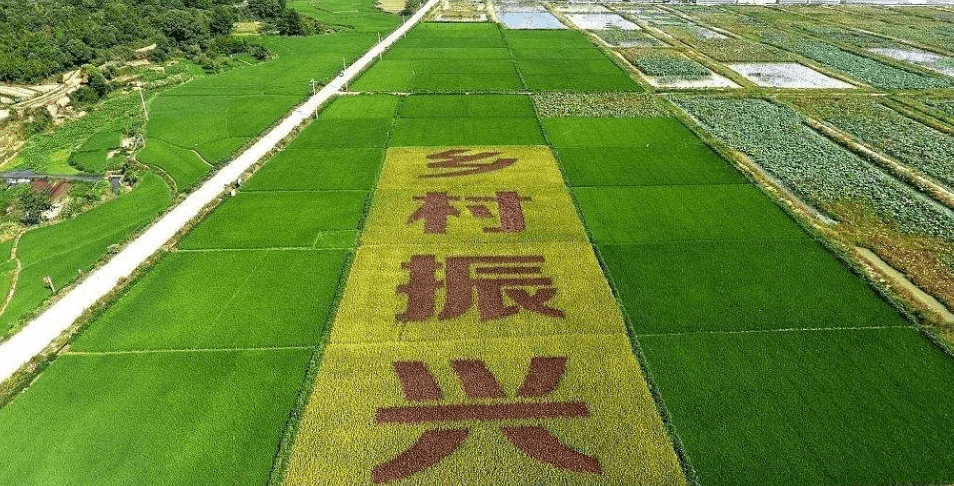 人民日報“鄉(xiāng)村振興計劃”為何看上他？_直播_行業(yè)_農(nóng)產(chǎn)品